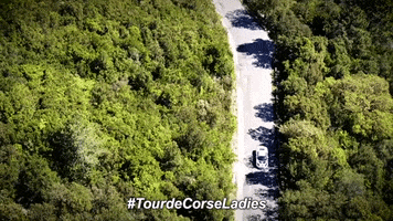 Ladies Gt GIF by Fédération Française du Sport Automobile