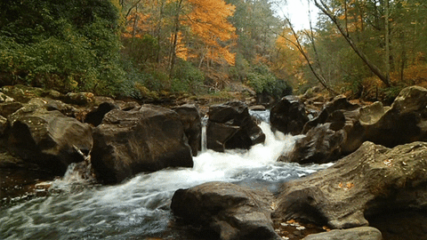 Tallulah River Fall GIF by Jerology - Find & Share on GIPHY
