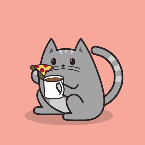 coffee cat gif