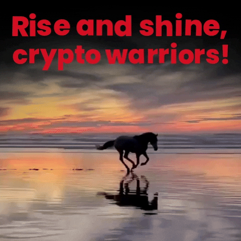 StreamCoin crypto cryptocurrency goodmorning positivity GIF
