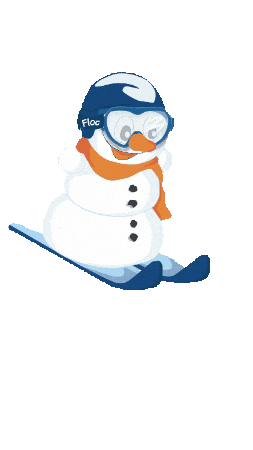 Floc Skiing Sticker by Ski School Ortisei