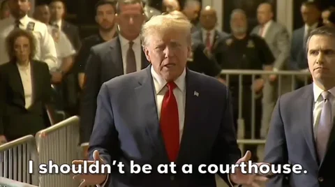 Donald Trump GIF