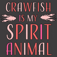 Louisiana Crawfish GIF by williesbr