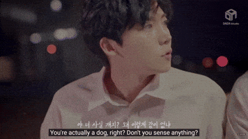 Kdrama GIF