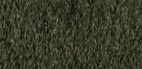 Womens Lacrosse GIF by Lafayette Leopards