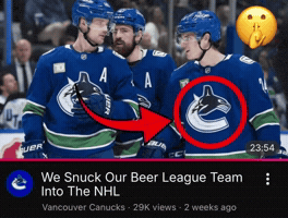 Team Nhl GIF