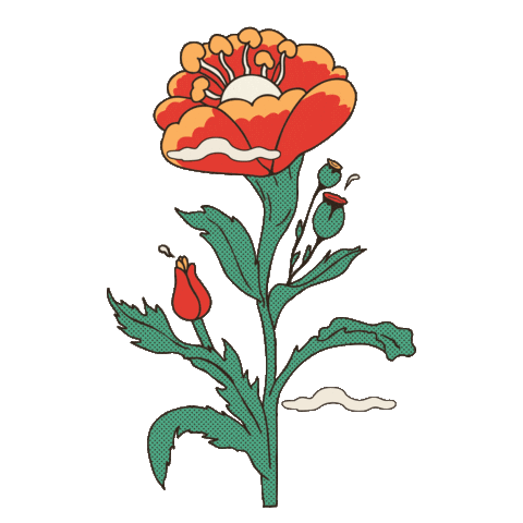 Austin Sticker by Bunkhouse Group