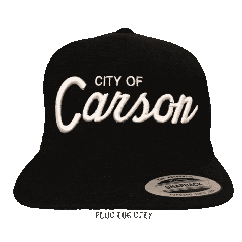Carson Avalon Sticker by plugthecity