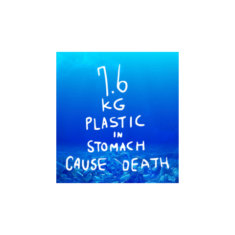 Seoul Goodbye Sticker by official_seoul