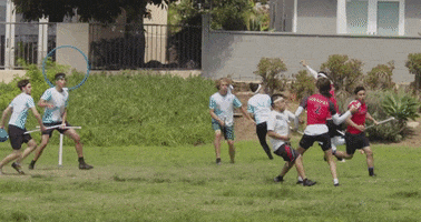 Quidditch GIF