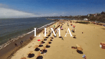 Sao Paulo Latina GIF