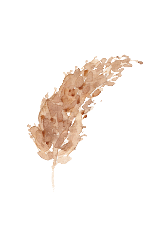 Boho Sticker
