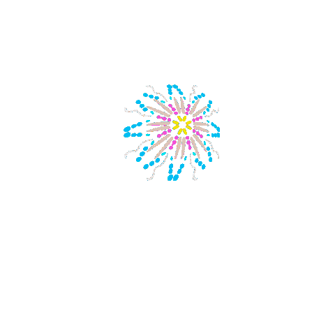 Animated Sticker