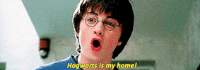 harry potter home GIF