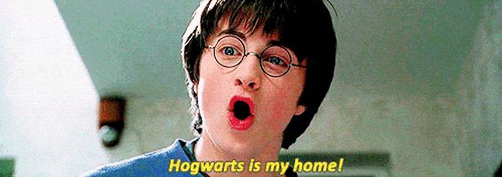 harry potter home GIF