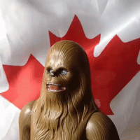 Canada Day GIF by Brittlestar