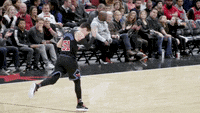 Bulls Run With Us Gifs Get The Best Gif On Giphy