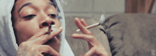Smoking-weed GIFs - Get the best GIF on GIPHY