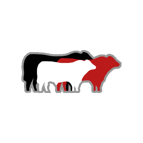 Agro Pecuaria Sticker by ANC