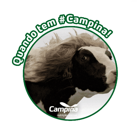 Memecampina Sticker by campinanutricaoanimal