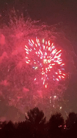 4Th Of July Fireworks GIF by Joyce Layman