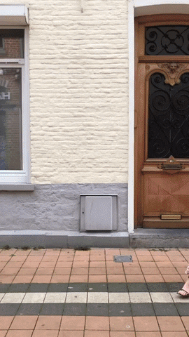 larebelle GIF