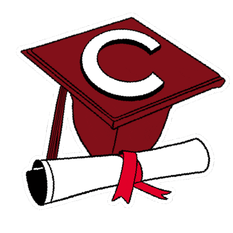 College Graduation Sticker by Colgate University