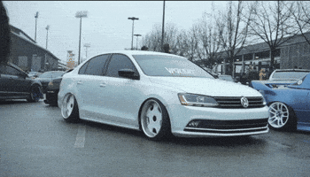 Photography GIF by Curated Stance Club!