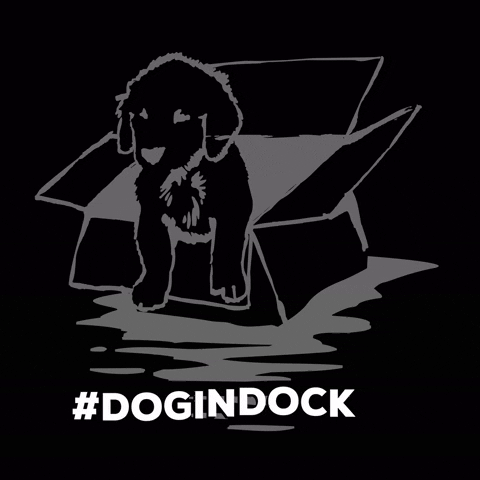 GIF by Dog in Dock