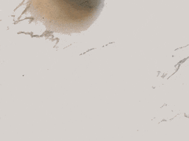 GIF by Brassi
