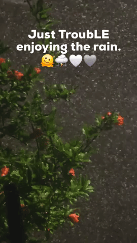 Just Trouble Enjoying The Rain GIF