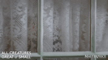 Open Window Curtain GIF by MASTERPIECE | PBS