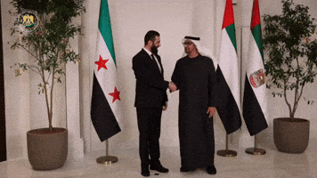 Uae Syria GIF