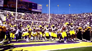 Lsu Football GIF