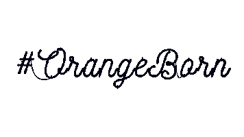H Baseball Sticker by Naranjeros de Hermosillo
