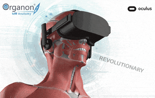 virtual reality anatomy GIF by Dewey University
