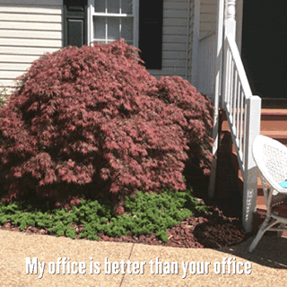 office workfromhome outdoor workspace GIF