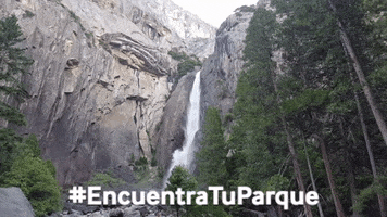 camping national parks GIF by Latino Outdoors
