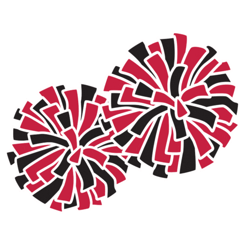 Football Cheer Sticker by Hannover Stampeders  AFC