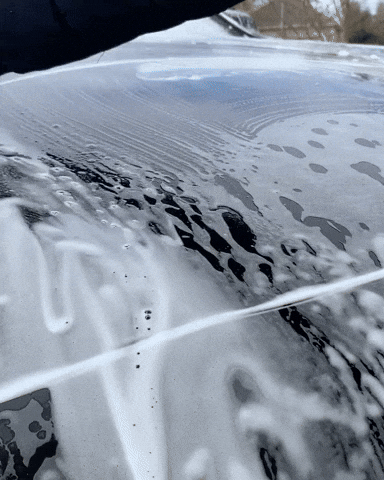 nextzett USA GIF