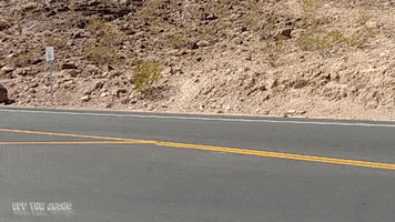 car wave GIF by Off The Jacks