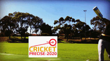 Cricket Precise GIF