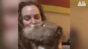dog affection GIF by The Dodo