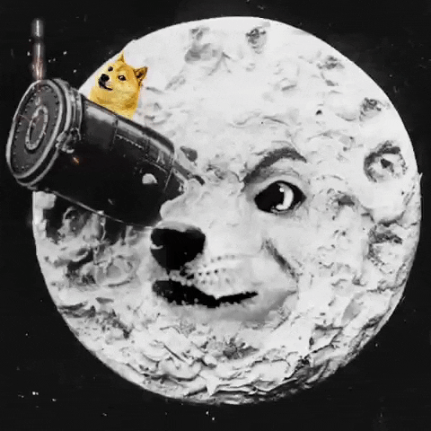 To The Moon Doge GIF