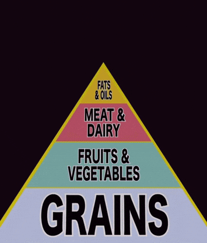 South Park Food Pyramid GIF