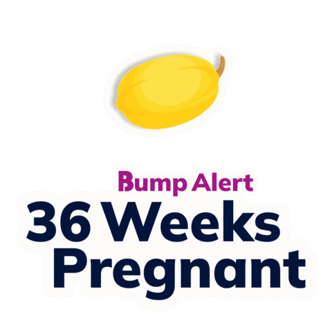 Pregnancy Expecting Sticker by The Bump