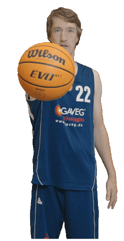 Bensheim Sticker by VfL Basketball