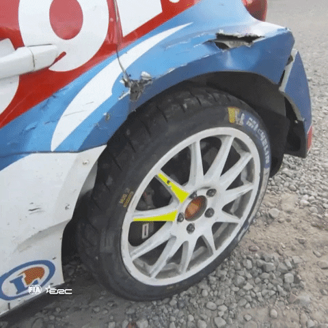 Bad Day Wtf GIF by FIA European Rally Championship