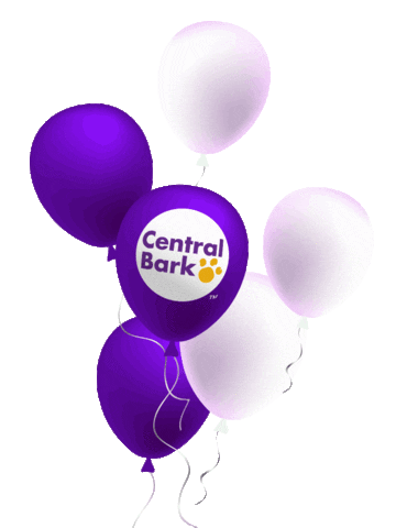 Happy Birthday Sticker by Central Bark