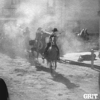 Gun Fight Horses GIF by GritTV